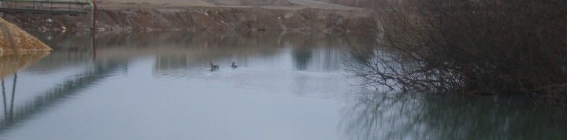 Karpfenangeln am Baggersee